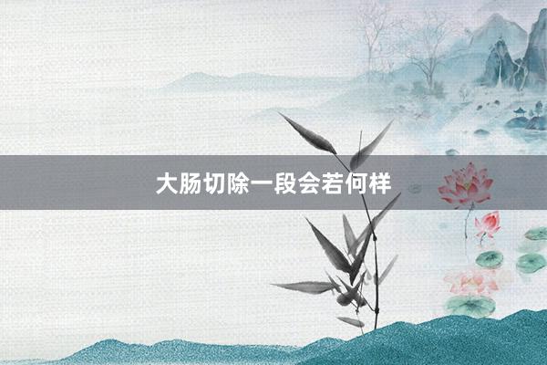 大肠切除一段会若何样
